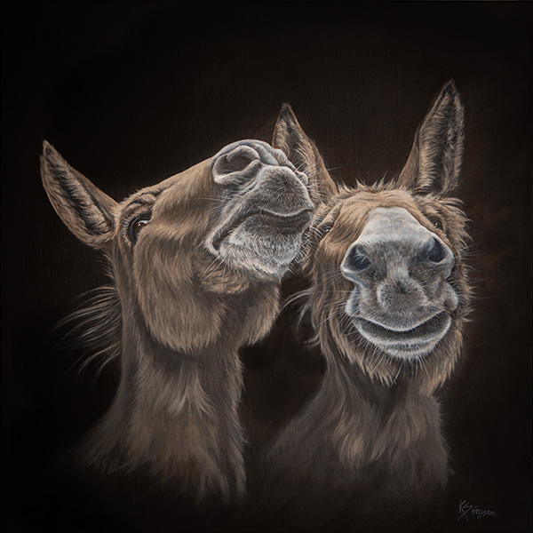 Two donkey heads. They are brown with whitish noses. They appear to be almost laughing.