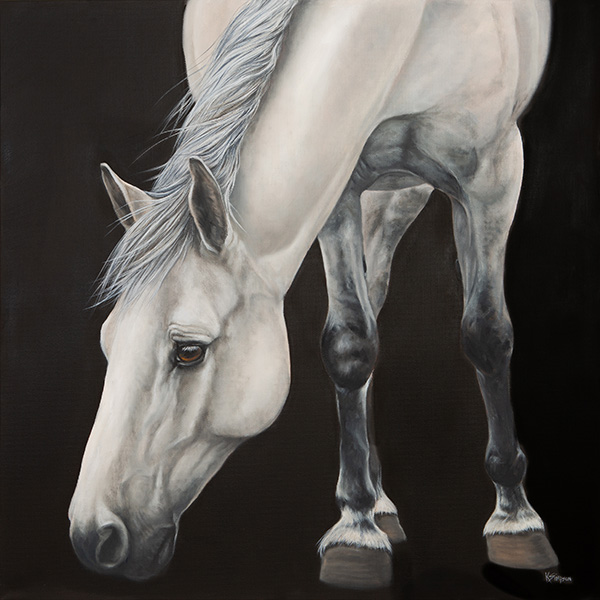Kelly Simpson portrait of a beautiful white horse, grazing.